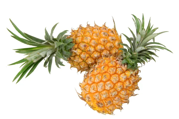 Ananas — Stockfoto