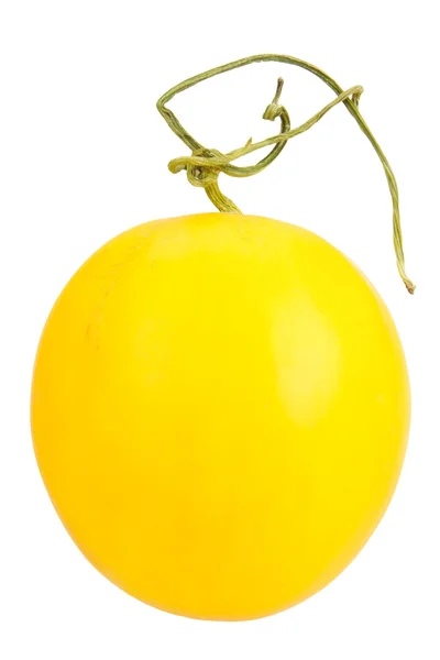 Gele meloen — Stockfoto