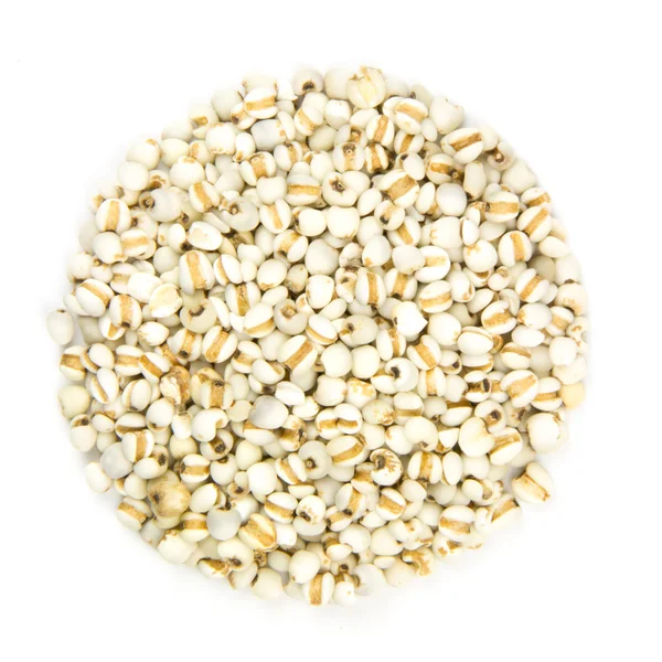 Pearl barley — Stock Photo, Image