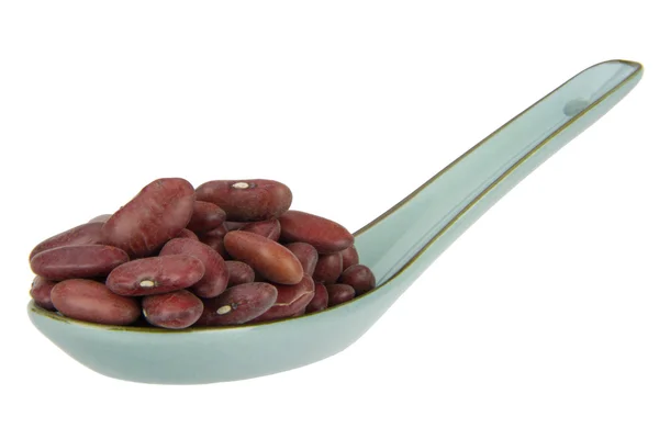 Red kidney bean — Stock Photo, Image