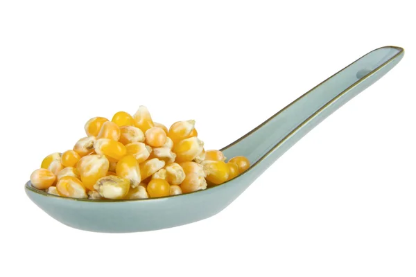 Corn — Stock Photo, Image