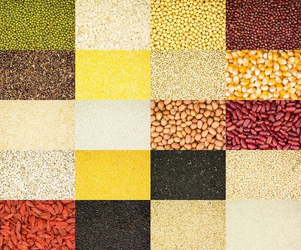 穀物コレクション — ストック写真