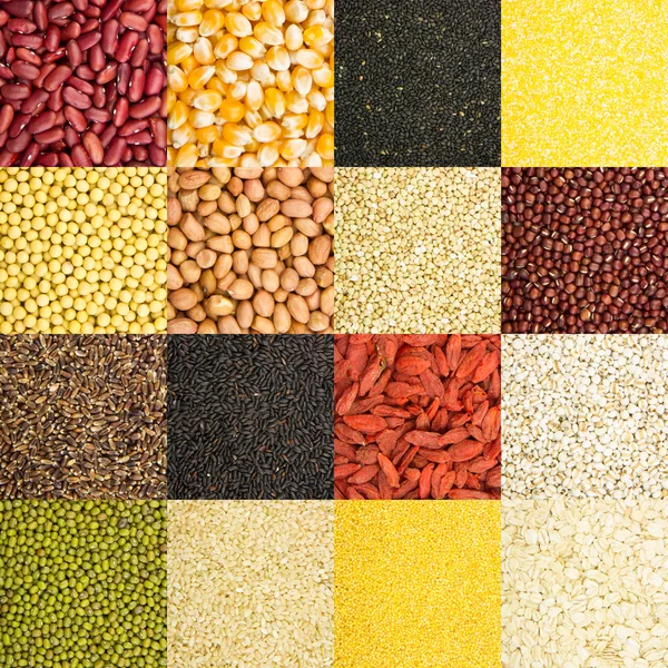 Grain collection — Stock Photo, Image