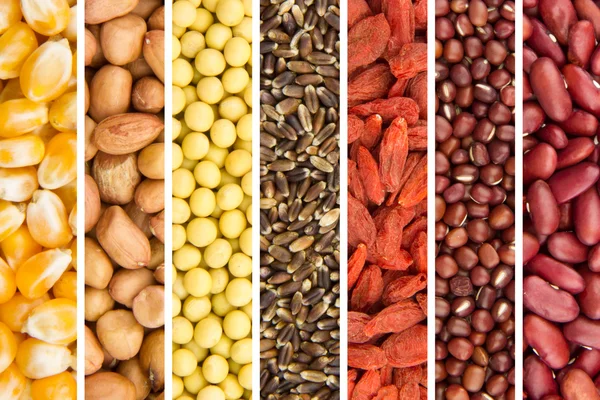 Grain collection — Stock Photo, Image