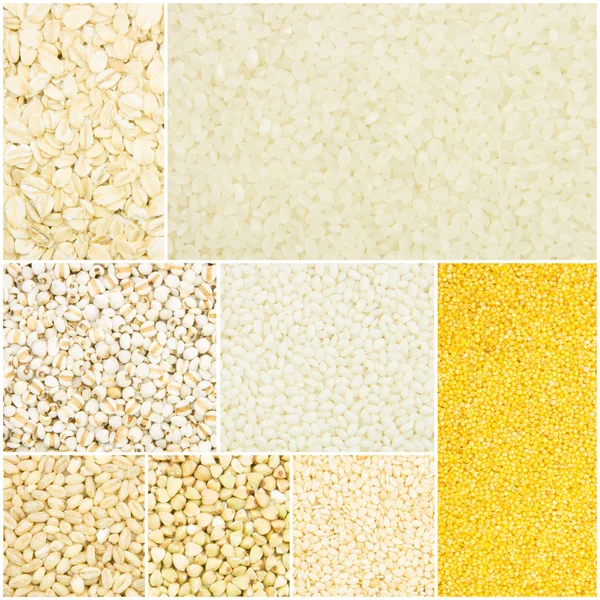 Grain collection — Stock Photo, Image