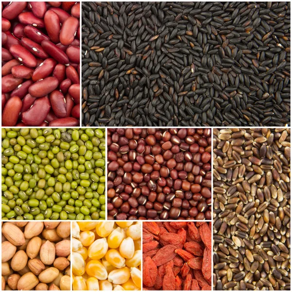 Grain collection — Stock Photo, Image