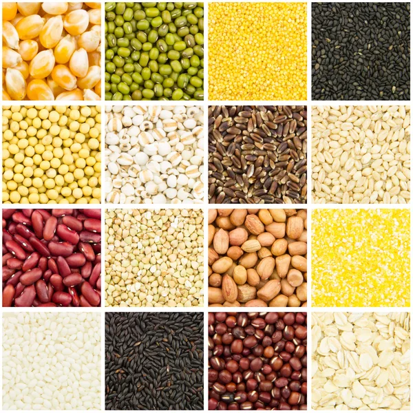 Grain collection — Stock Photo, Image