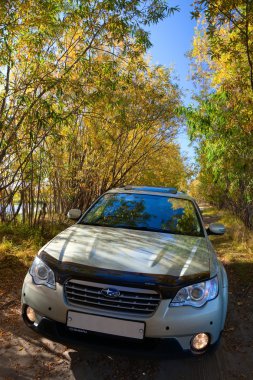 sonbahar ormandaki bir yolda araba