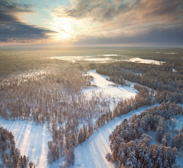 顶视图的森林河流在冬天的早晨 — 图库照片
