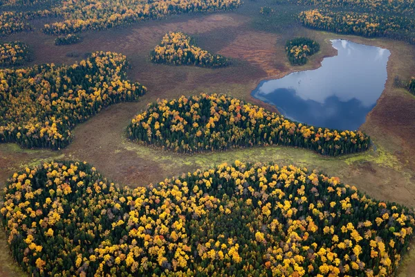 Fores sjön på hösten — Stockfoto