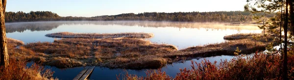 Panorama du lac de la soirée en forêt — Photo