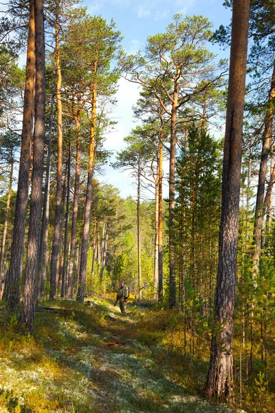 Caçador na floresta — Fotografia de Stock