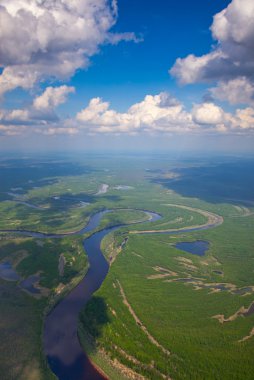Beyaz bulutların altında orman Nehri