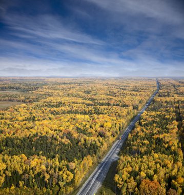 sonbahar orman yolu