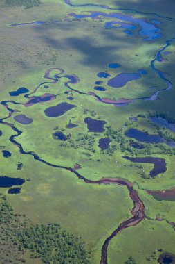 Havadan görünümü orman ovalar su bastı..