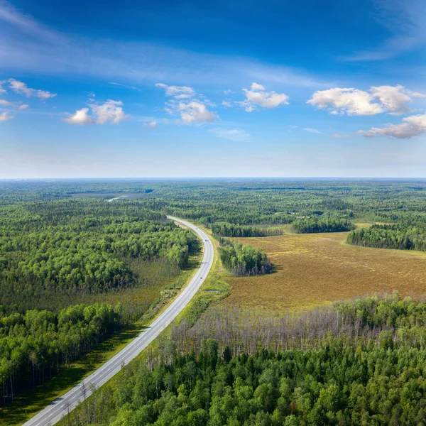 Vista superior em rodovia na floresta — Fotografia de Stock