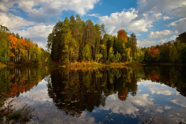 Island on the forest lake in autumn — Stok Foto