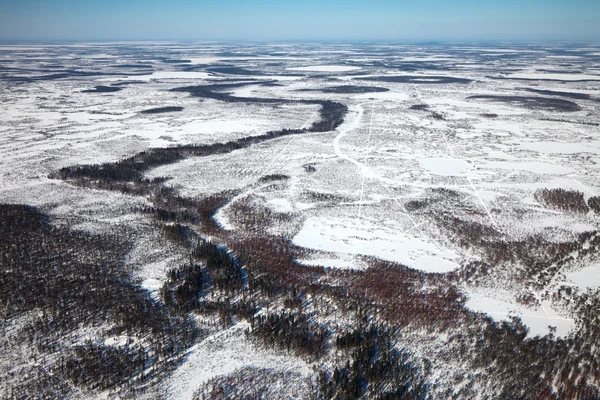 Flygfoto av vinterskog — Stockfoto