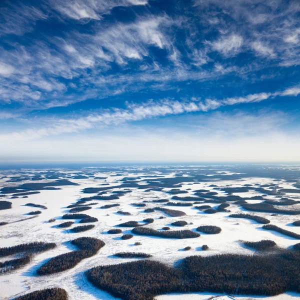 Sumpf und Waldungen im winter — Stockfoto