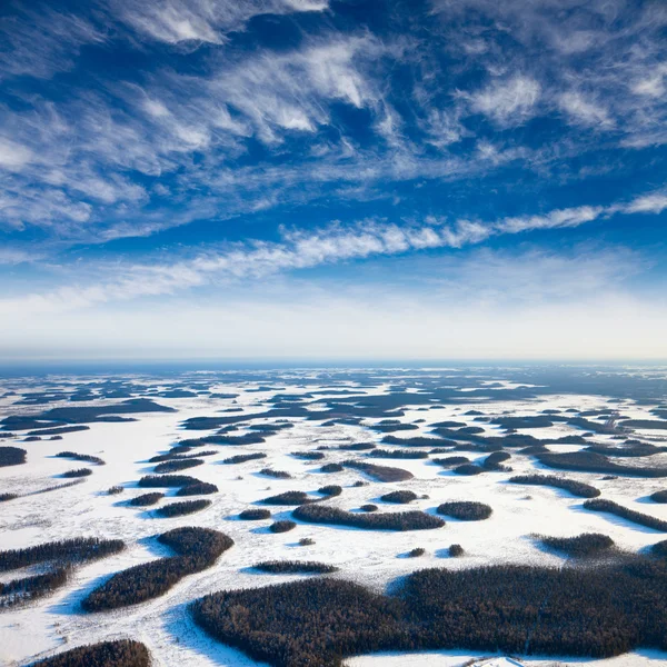 Träsket och olivlundar i vinter — Stockfoto