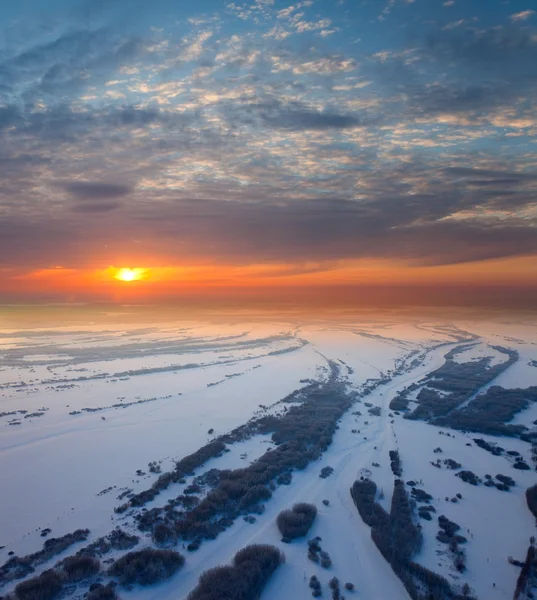 Área del bosque con hermosa puesta de sol en invierno — Foto de Stock