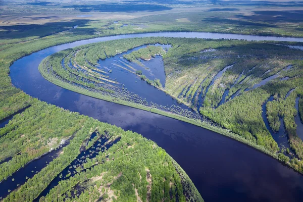 Forest river i sommar — Stockfoto