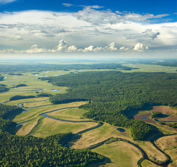 Forest river — Stockfoto