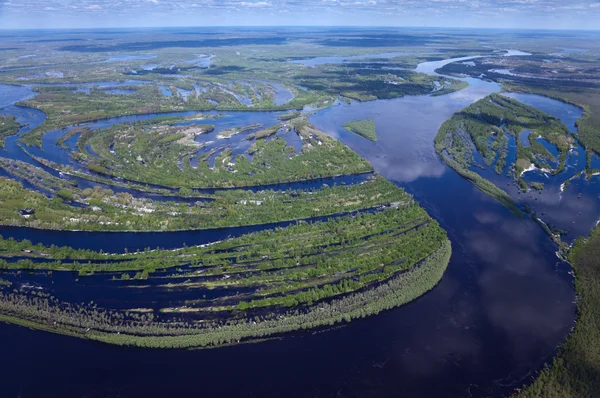 Forest river in de zomer — Stockfoto