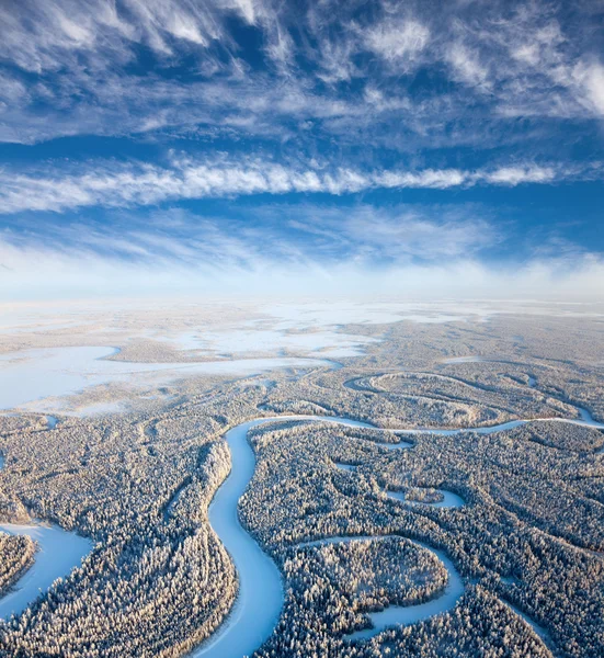 Forest river i vinterdag — Stockfoto