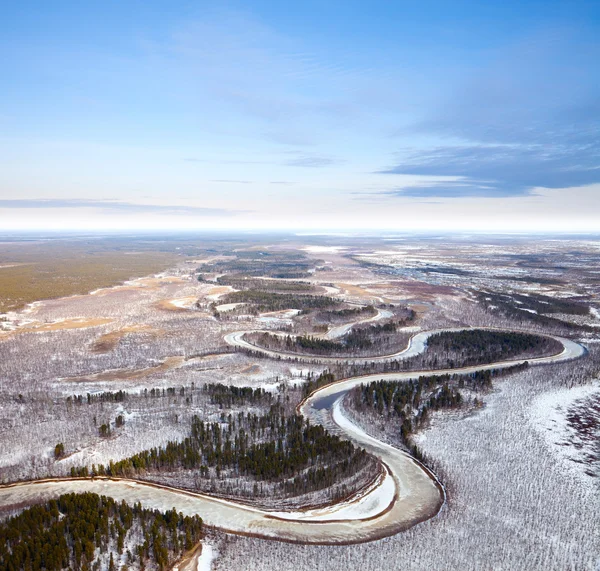 Vue de dessus de la rivière de la forêt — Photo