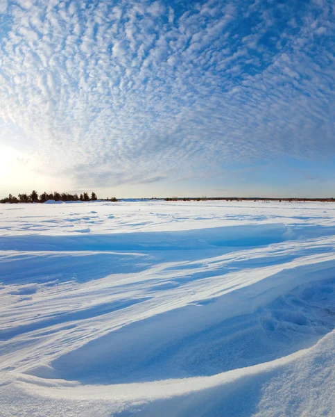 Зимний лес пейзаж на закате — стоковое фото
