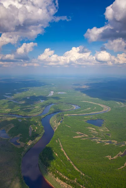 Лісова річка під білими хмарами — стокове фото