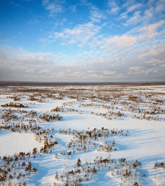 Karlı expanses üzerinde göster — Stok fotoğraf