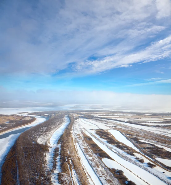 Bos van gewone en kleine rivier in de winter — Stockfoto