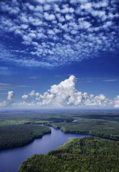 Aerial view the forest river — Stock Photo, Image