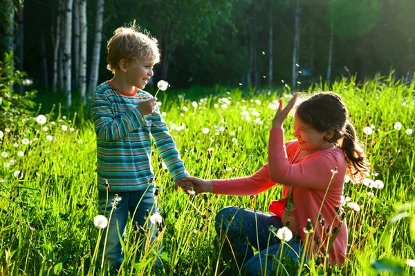 Brother and sister on spring meadow — Stock Photo, Image