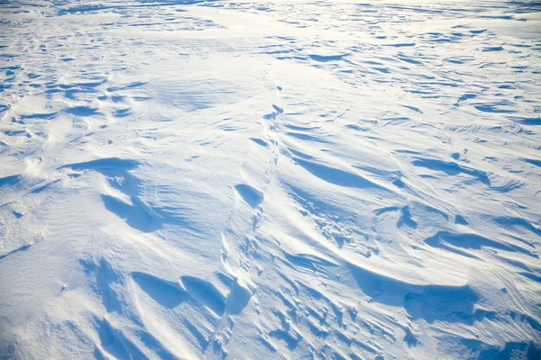 深的积雪 — 图库照片