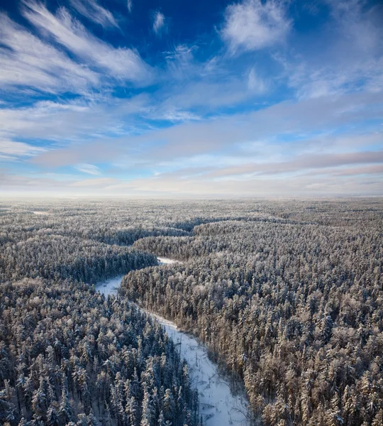 Top view of winter forest — Stock Photo, Image