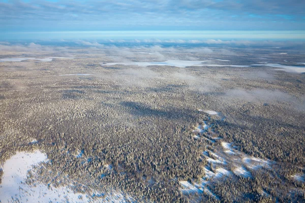 Luchtfoto op het bos — Stockfoto