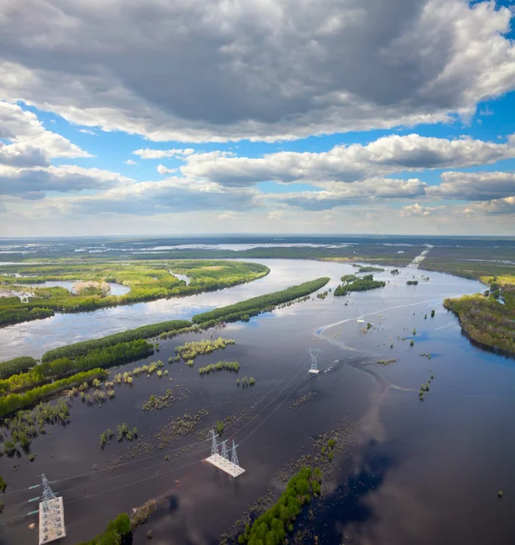 Power lines on flooded forest plains — Fotografie, imagine de stoc