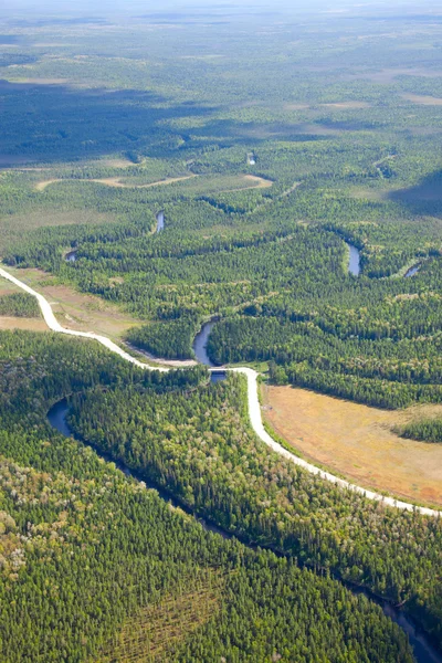 Luchtfoto van bossen — Stockfoto