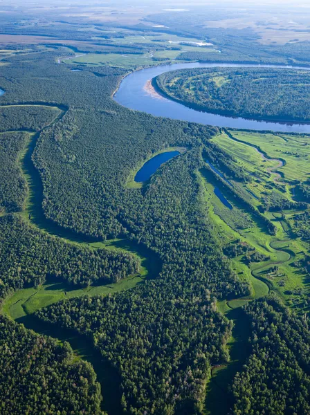 Vista superior del río bosque — Foto de Stock