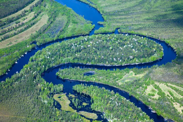 Lesní řeka v létě — Stock fotografie
