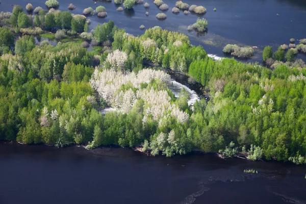 Aerial view flooded forest plains. — Stock Photo, Image