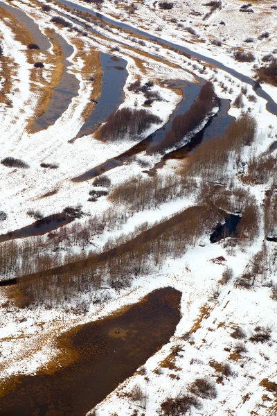 広大な野生の沼地 — ストック写真