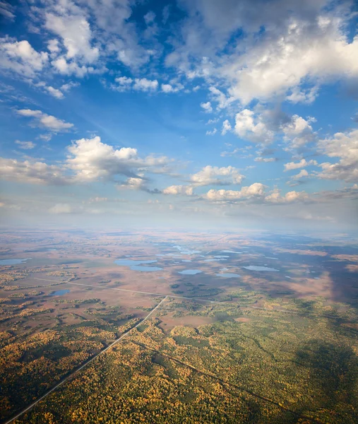 Ovansida av skog på höstdag — Stockfoto