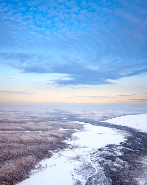 Çam ormanının kış günbatımı sırasında havadan görünümü. — Stok fotoğraf