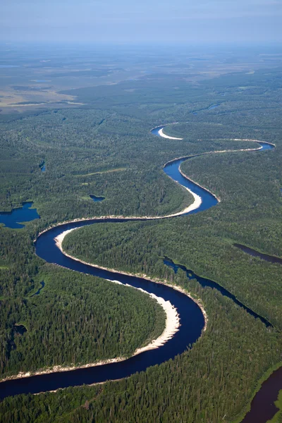 Aerial view on river in forest — Stock Photo, Image