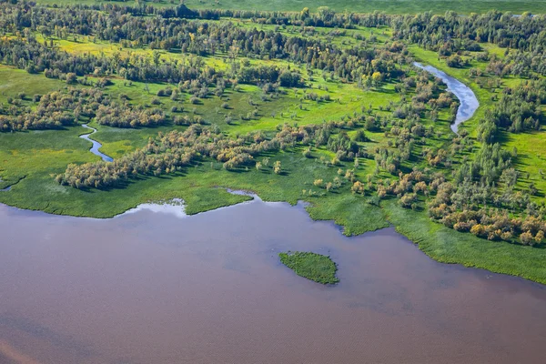 Forest lake — Stock Photo, Image