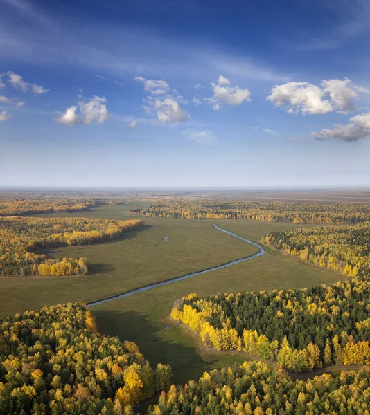 Río en bosque otoñal — Foto de Stock